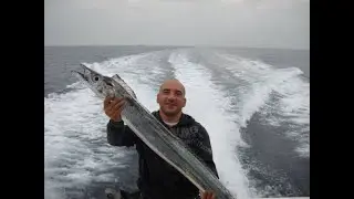 caccia a mezz'acqua