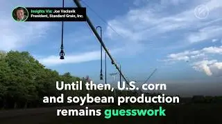 Wet Spring Creates Havoc in U.S. Grain Production