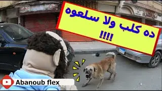 الجزء الخامس لولو شاف كائن غريب فى الشارع #رمضان_كريم
