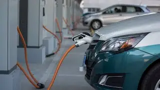 Global uptake of EV’s ‘not happening’ as automotive companies lose billions