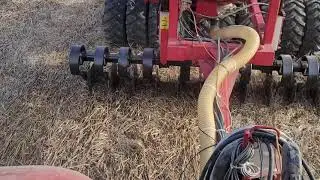 semis direct de pois orge apr&egrave;s soja au Horsch DS3 modifi&eacute;