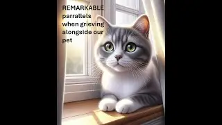 Lessons of Grief: What my cat and scripture taught me.