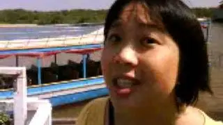 Tonle Sap, Crocodile