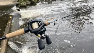 These bass were going CRAZY in the flood water!! || Urban Sydney bass ||