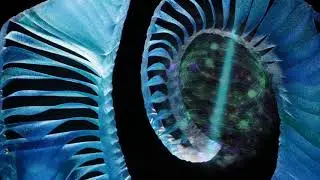 A Thread of Light- Colin Reid and Three Generations of Kiln-cast Glass Artists