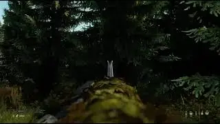 DAYZ KILLS BY STAG #1