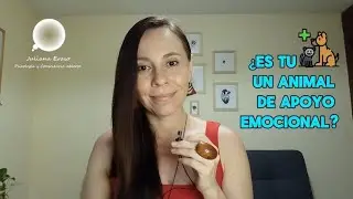 Animales de Apoyo Emocional: Tipos, Funciones y C&oacute;mo Ayudan en la Salud Mental