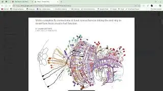 DevoWorm (2025, #17): Connectomic Models and the Phase Transitions of Cellular Evolution