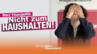 Nicht zum Haushalten: Ertragt ihr Friedrich Merz noch?