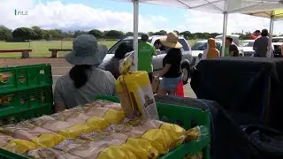 Report estimates 427,000 people in Hawaii face food insecurity