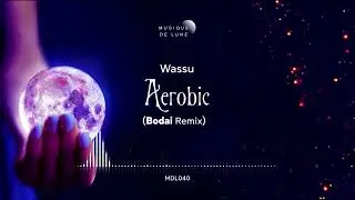 Wassu - Aerobic (Bodai Remix)