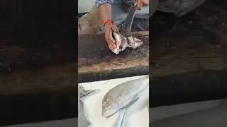 One-Minute Guide to Cutting Small Fish Perfectly #shortvideo #smallfishcutting