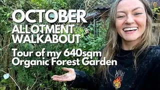 Huge Allotment Tour in Autumn 🍂 