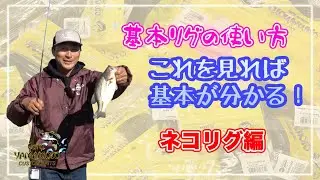 【今更聞けない基本リグ】ネコリグ編