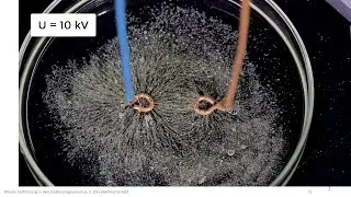 Elektromagnetismus Experiment: Elektrisches Feld von Punktladungen, parallelen Leitern, im Griess