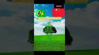 Brazil vs China  GDP 2025