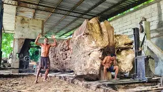 RARE PHENOMENON‼️of Large Wood with Natural Cavities Inside I sawmill 🌳