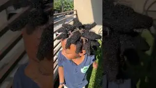 Wick maintenance.  #locnation #locs #locstyle #roots #kidswithlocs