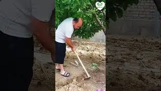 Масжидда сокинлик хукм сурмоқда😍