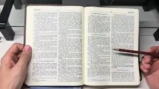 HolyBible.OldTestament.Genesis.36-39.INSIGHT