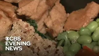 Startup turns air into sustainable protein
