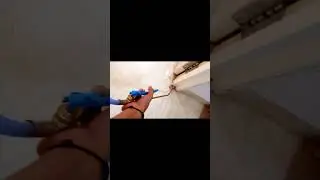 Termite Treatment | White Ant Control | Best Chemical & Method | Pest Control India