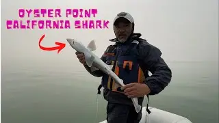 Oyster Point California Fishing