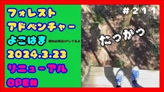 フォレストアドベンチャーYOKOHAMA【よこはま】めちゃくちゃ楽しかった〜‼️