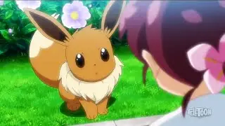 Chloe Meet's Eevee | Pokemon Journeys Upcoming Episodes