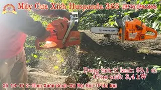Test Thực Tế M&aacute;y Cưa X&iacute;ch Xăng Huspanda 365 &ndash; N&ograve;ng 65.1mm Mạnh Mẽ, Cắt Ngọt Sắc B&eacute;n