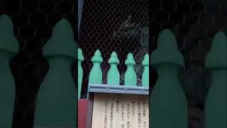 Mysterious Golden Statue: Urban Exploration