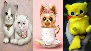 Cute WhatsApp Dp Images