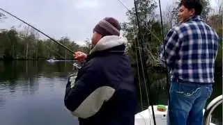 Presentation: St. Marks River White Trout Fishing