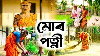 মোৰ পত্নী ❤️ My Wife | Assamese Monkey Vlogger |  Deka Bandor | #monkeyvlogger #vlog #trending