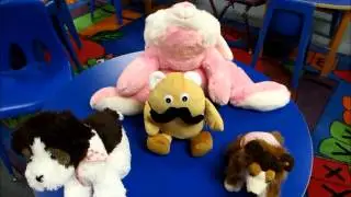 Library Camp Adventures with Storytimer Stuffed Animals-Alexander County Library