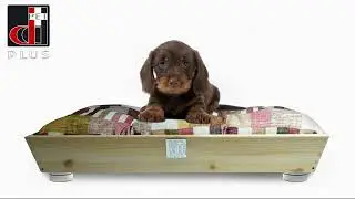 Cucce ecologiche per cane piccolo o gatto in legno lavabili | ddpluspet.com