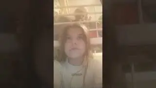 jajajajaja pringadas