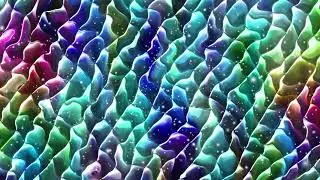 Abstract liquid geometric background movie.Abstract motion graphic.Colorful gradient background.