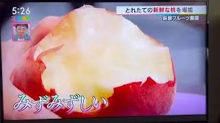 UTY ISSUI MAEDA やまなしグルメセレクション　桃狩りの紹介、カフェメニューのパフェ、前田一翠さんのウォーキング付き❤️
