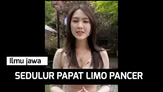 SEDULUR PAPAT LIMO PANCER