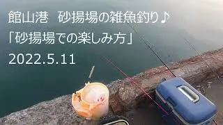 館山港　砂あげ場での雑魚釣りと楽しみ方　2022.5.11　ｂｙ館山雑魚釣り