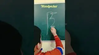 How to draw Woodpecker drawing from number -12