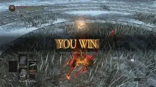 DARK SOULS&trade; III_20210129204509