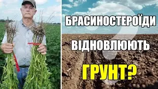 Що дають біостимулятори? Фосфорна криза грунтів |Роберт Кремер| Биостимуляторы для растений/ Куркуль