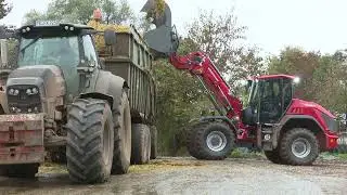 Weidemann 9580T
