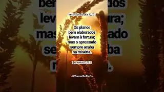 Prov&eacute;rbios 21:5 - Planos S&aacute;bios Trazem Prosperidade