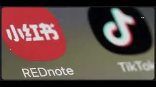 How TikTok Users Can Adapt to Red Note in a Global Shift #TikTokBan