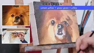 Weekly challenge #02 / Pomeranian / Pet oil painting art