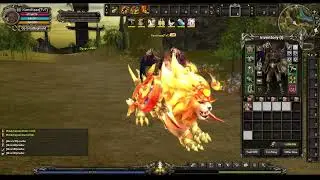Shaiya new mount (82)