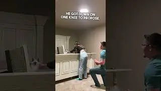 Boyfriend Proposes During Cat Surprise ❤️